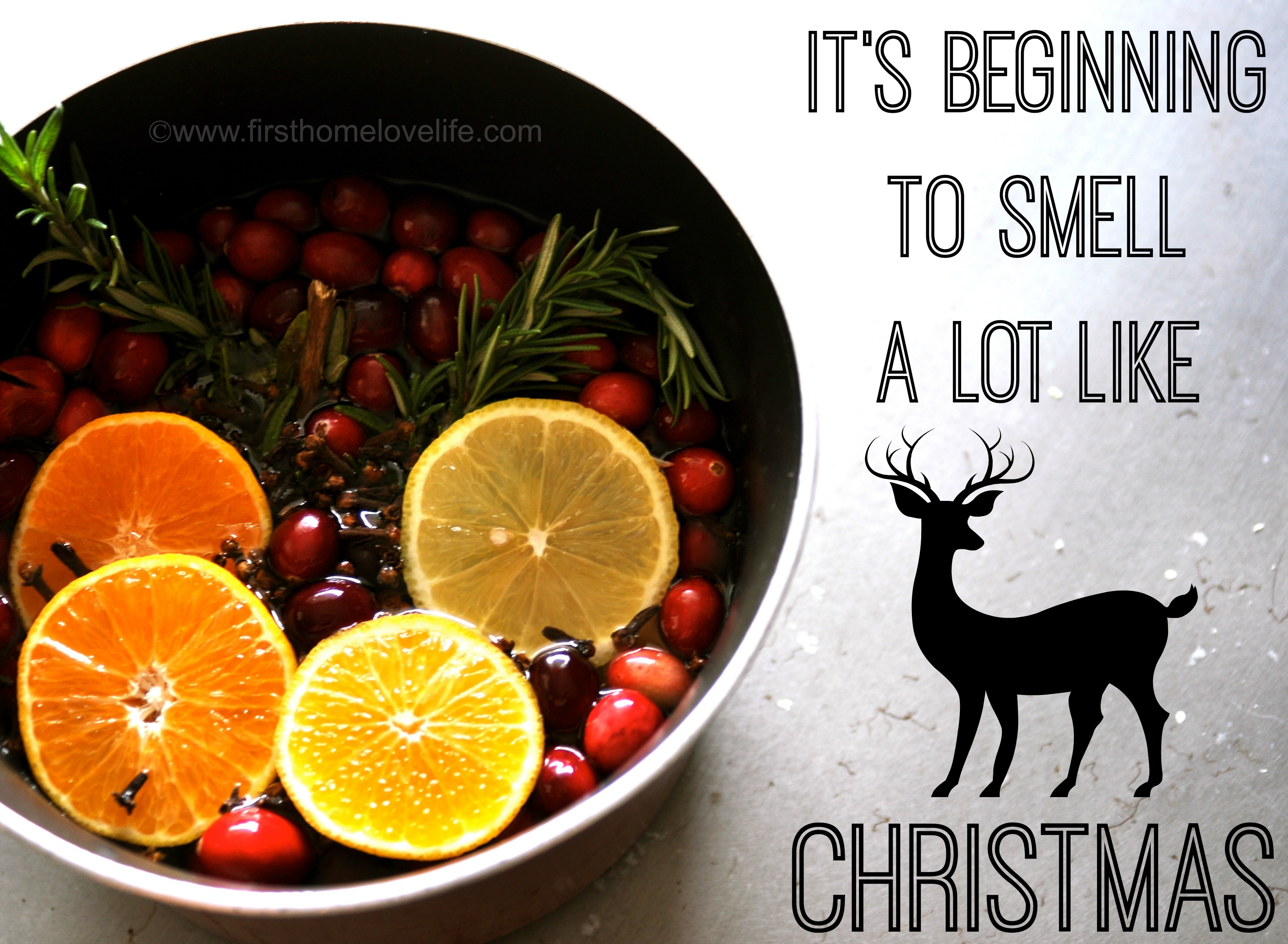 Here's how to make your home smell like Christmas. Using a mini crockpot so  it can simmer all day add water, rosemary, cranberries, orange…