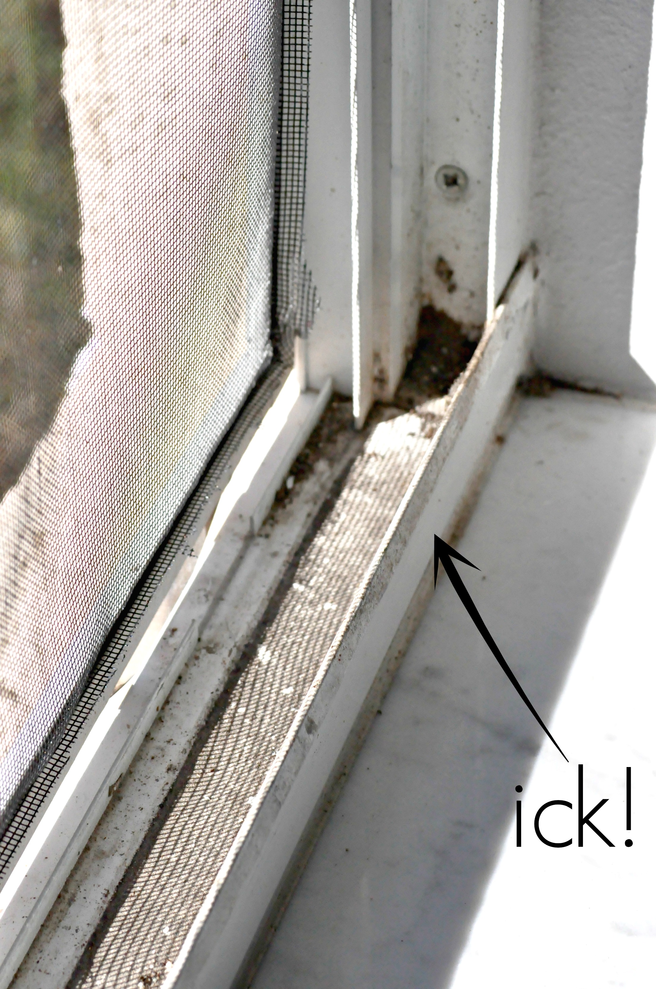 How to: Clean Window Tracks - First Home Love Life