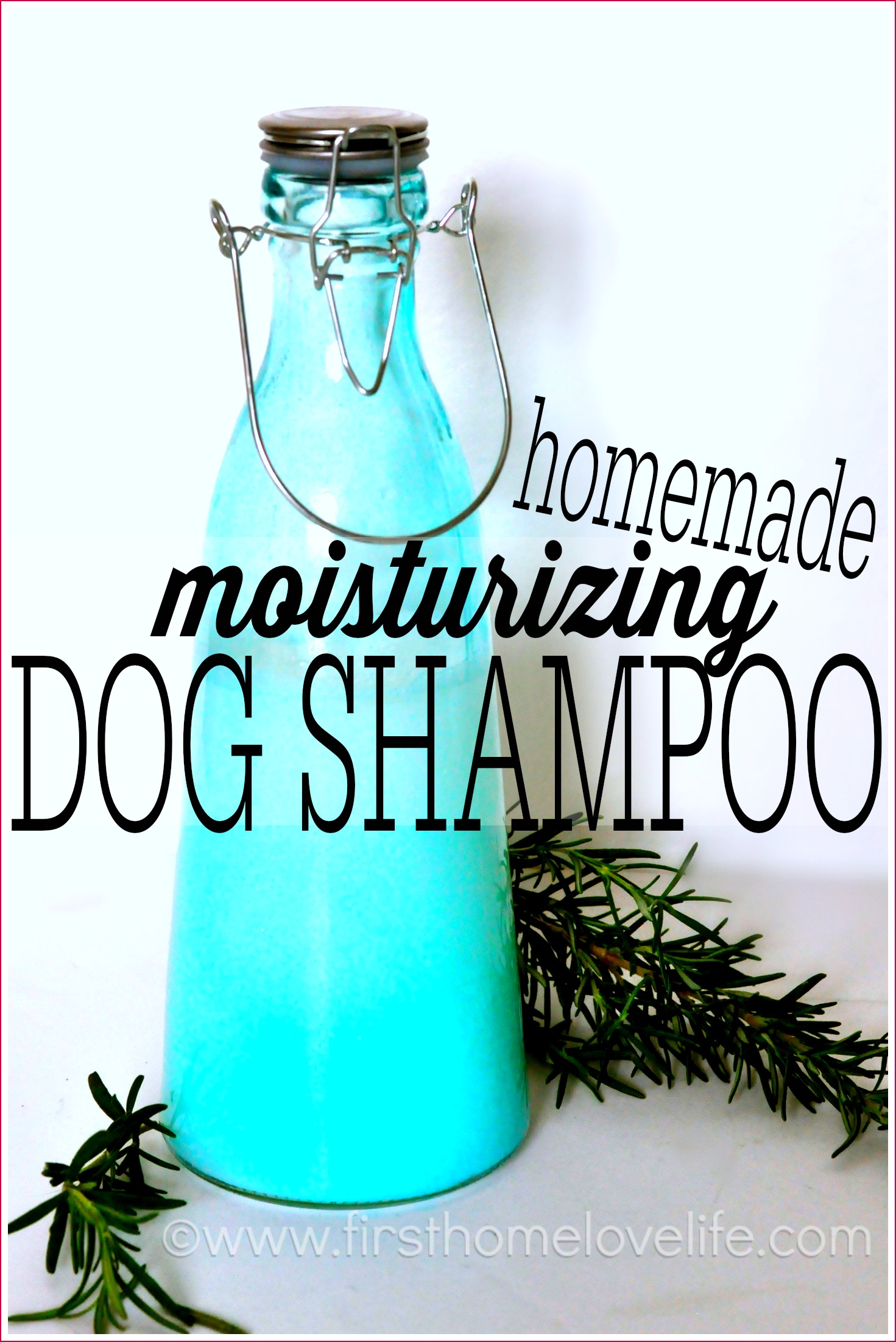 homemade dog shampoo with castile soap