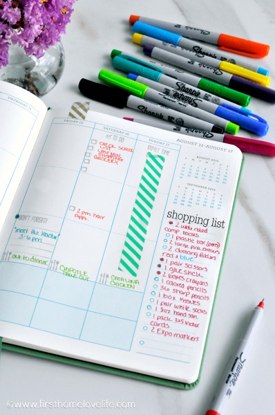 My Favorite Planner Pens & A Spread Using ONLY Pens?! - Whatever